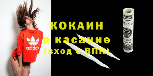 крисы Кодинск