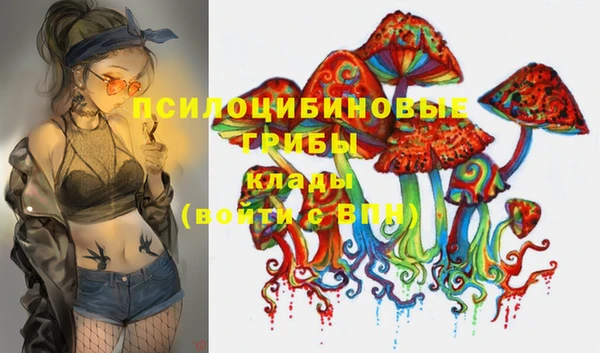 2c-b Кинешма