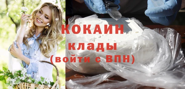 крисы Кодинск