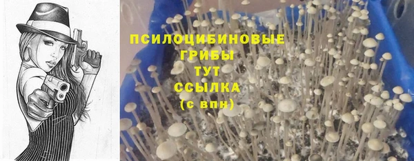 2c-b Кинешма
