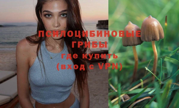 2c-b Кинешма