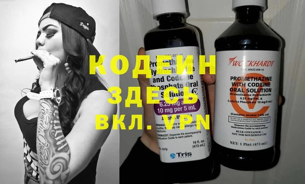 крисы Кодинск