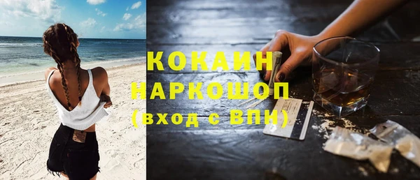 крисы Кодинск