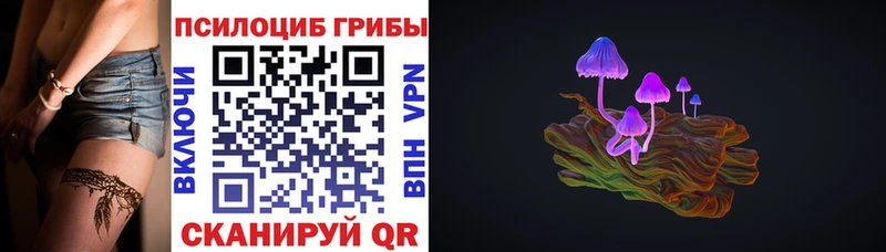 Купить закладки  Кызыл  Псилоцибиновые грибы Cubensis 