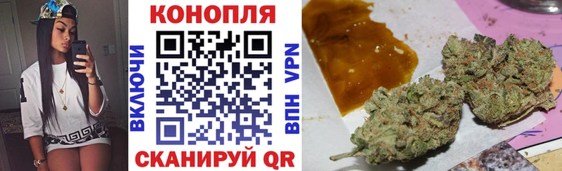 Купить закладки  Кызыл  Бошки марихуана THC 21% 